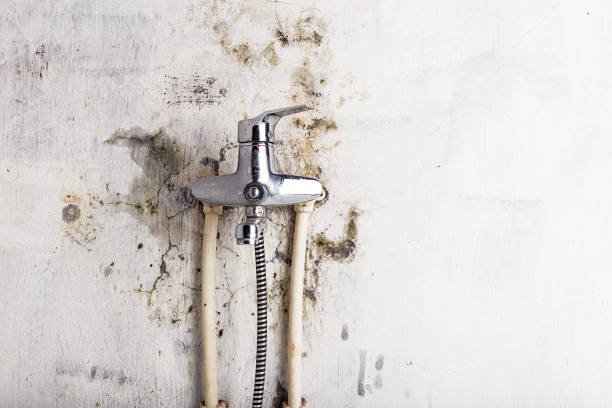 Best Basement Mold Remediation in Salida Del Sol Estates, TX