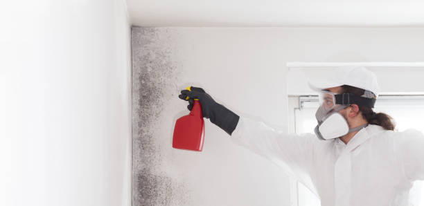 Best Insurance-Related Mold Remediation in Salida Del Sol Estates, TX