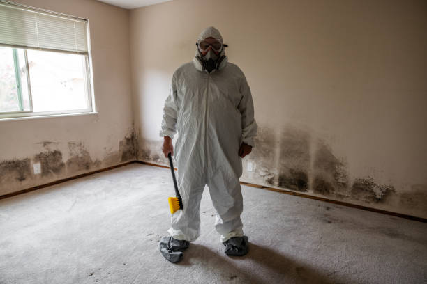 Professional Mold Remediation in Salida Del Sol Estates, TX