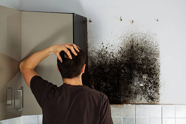 Best Post-Flood Mold Remediation in Salida Del Sol Estates, TX