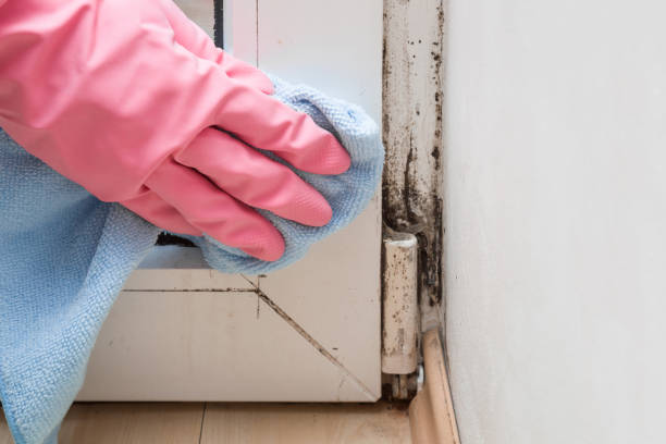 Best Crawl Space Mold Remediation in Salida Del Sol Estates, TX